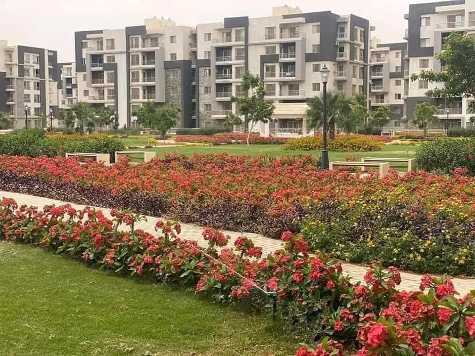 شقه مفروشه فاخره بالقاهره الجديده Lägenhet New Cairo Exteriör bild